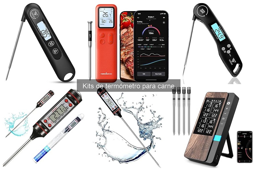 Cómo elegir el mejor kit de termómetro para carne