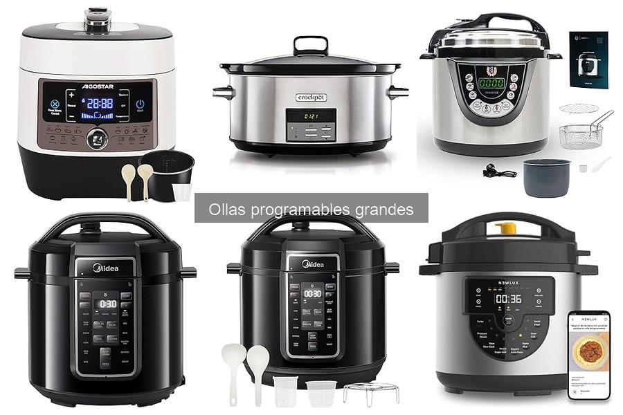 Cómo usar la olla programable grande: configuraciones y funciones
