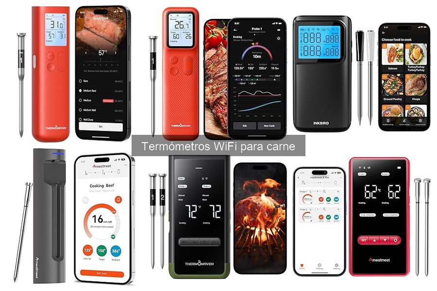 Comparativa de los Mejores Termómetros WiFi para Carne