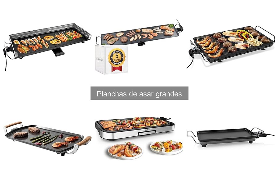Comparativa: Planchas de Asar Grandes vs Parrillas Eléctricas