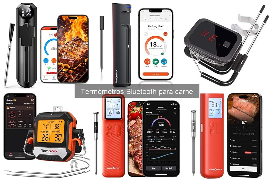¿Cuánto cuesta un termómetro Bluetooth para carne?