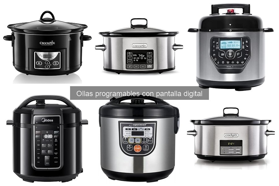Guía de compra: Olla programable con pantalla digital