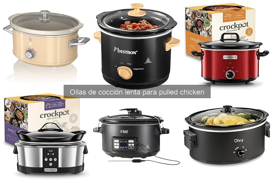 ** Guía de compra: ¿Qué considerar al elegir una olla de cocción lenta?
