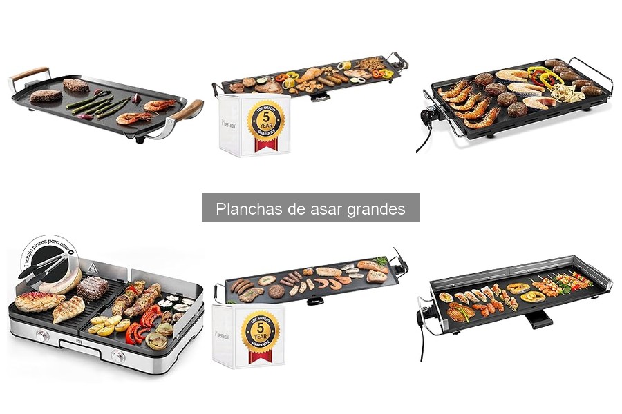 Guía para Comprar una Plancha de Asar Grande