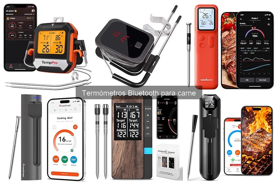 Las Mejores Carnes para Cocinar con Termómetro Bluetooth
