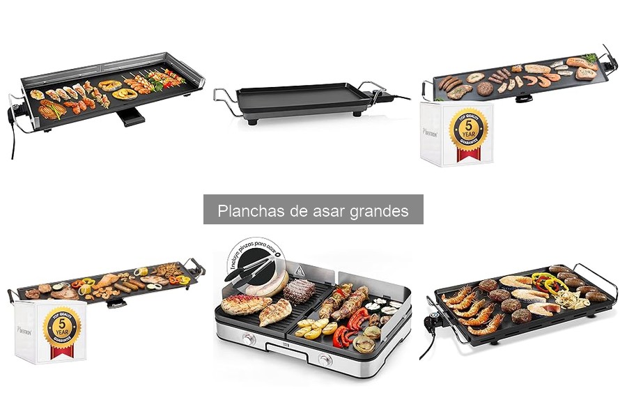 ** Las mejores recetas para planchas de asar grandes