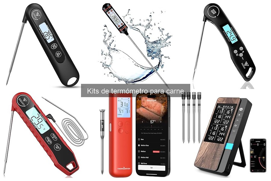 Mejores kits de termómetro para carne en 2023