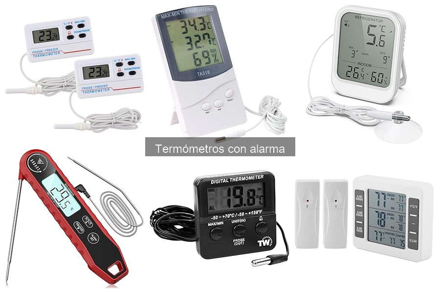 Mejores termómetros con alarma para asadores principiantes