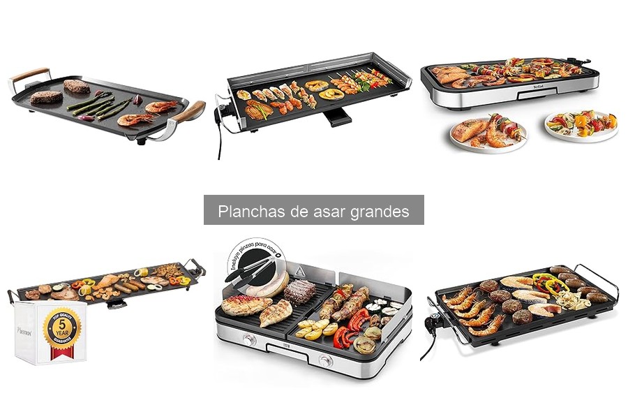 ¿Planchas de asar grandes eléctricas o de gas? Comparativa