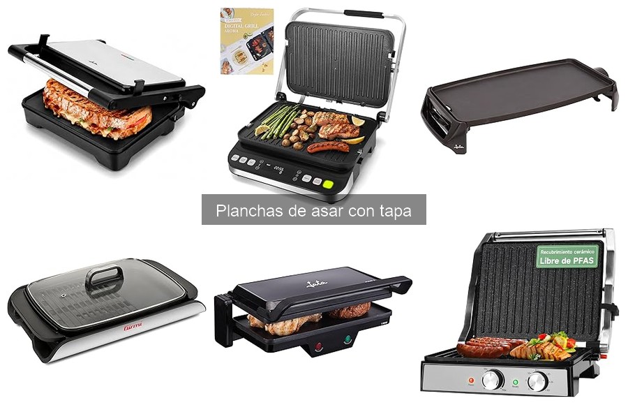 Recetas deliciosas para planchas de asar con tapa