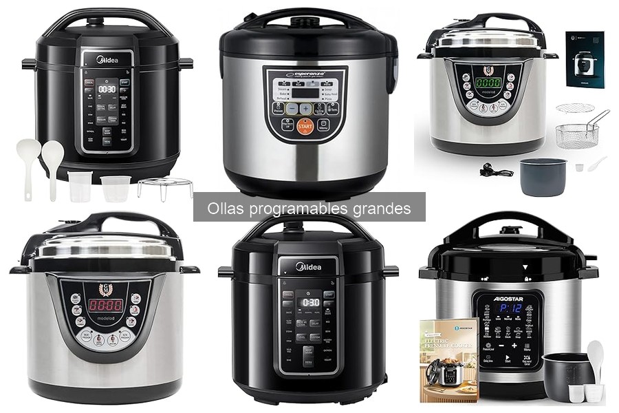 Recetas fáciles para olla programable grande y deliciosa inspiración