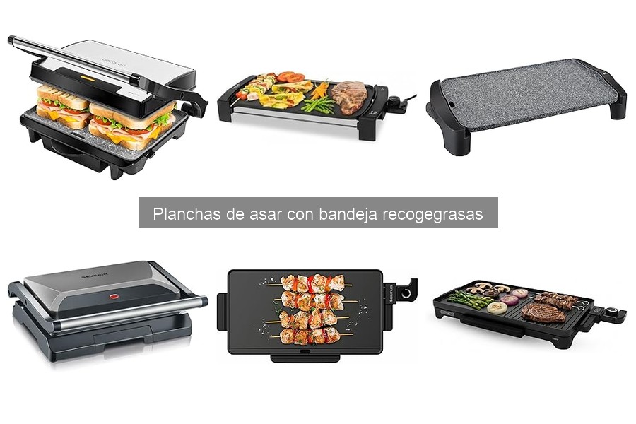Recetas fáciles para planchas de asar con bandeja recogegrasas