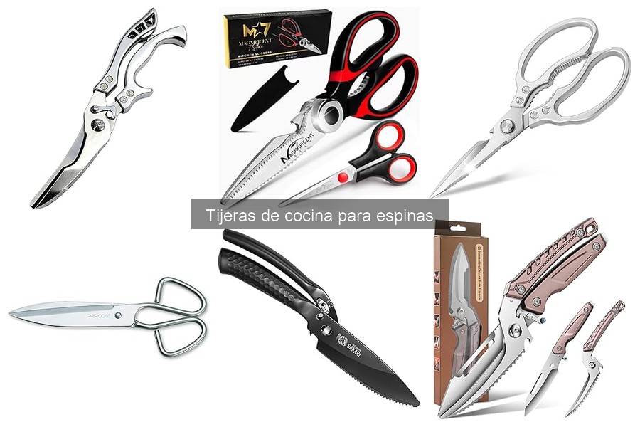 Tijeras de cocina para espinas: definición y características
