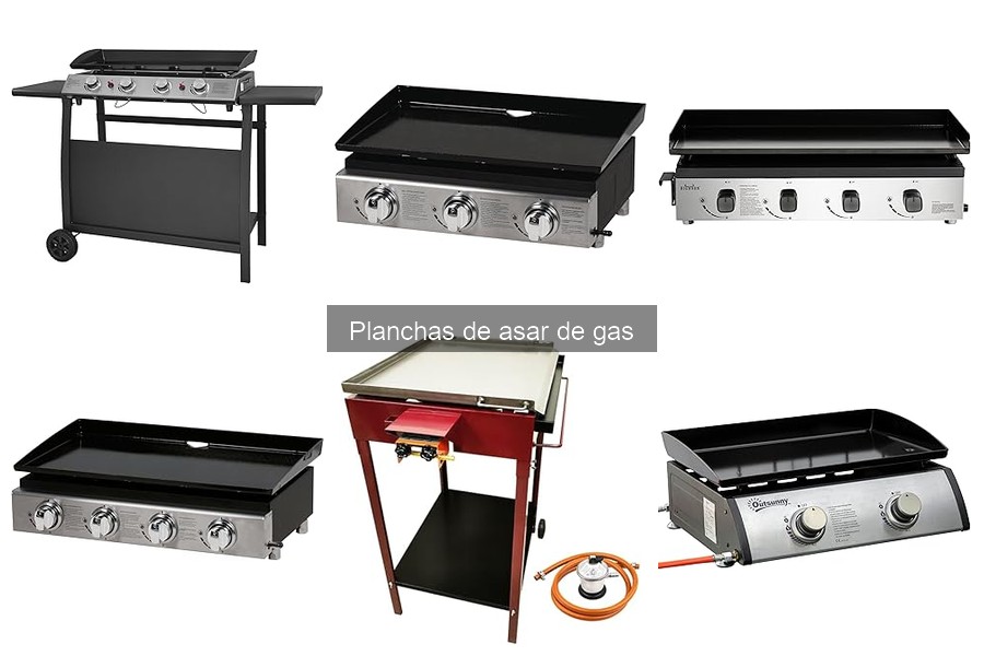 Tipos de Plancha de Asar de Gas: Guía Comparativa