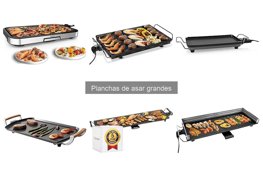 Tipos de Planchas de Asar Grandes: Guía Completa