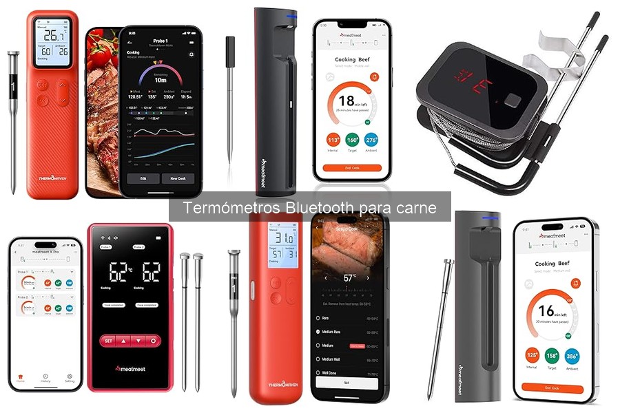 Ventajas del Termómetro Bluetooth para Cocinar Carne